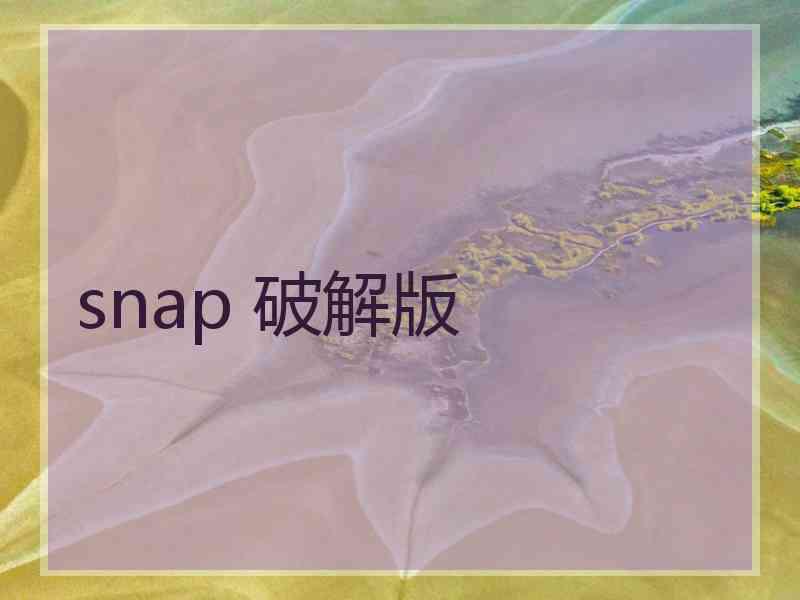 snap 破解版