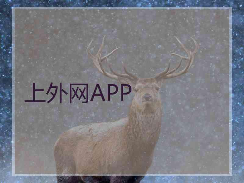 上外网APP