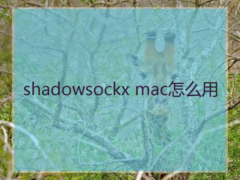 shadowsockx mac怎么用