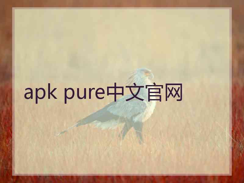 apk pure中文官网