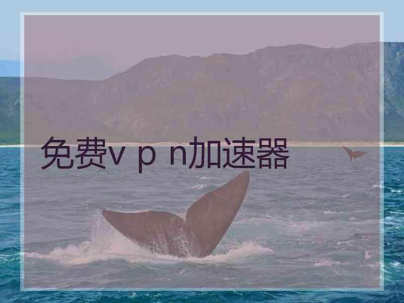 免费v p n加速器