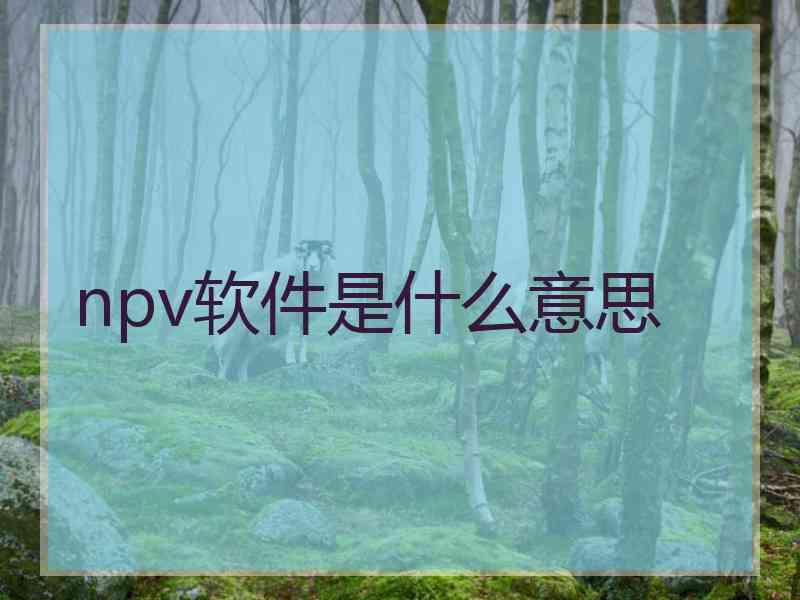 npv软件是什么意思