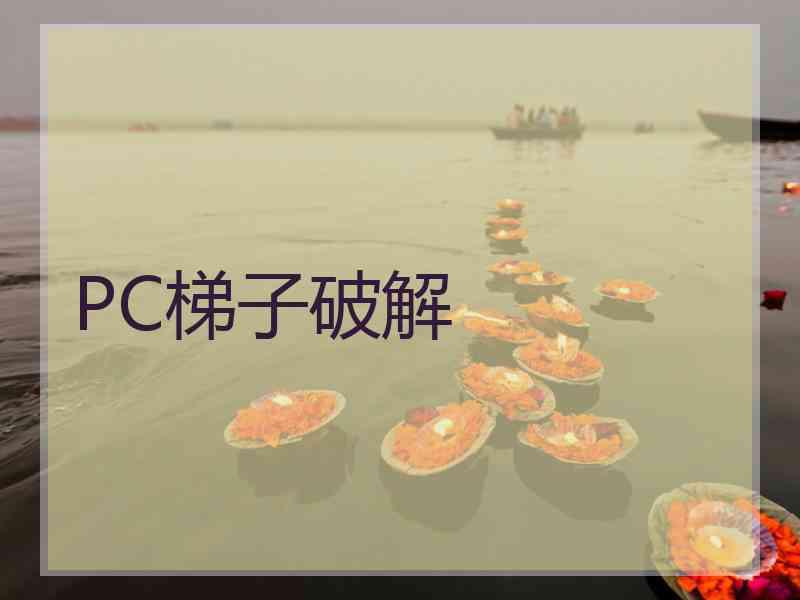 PC梯子破解