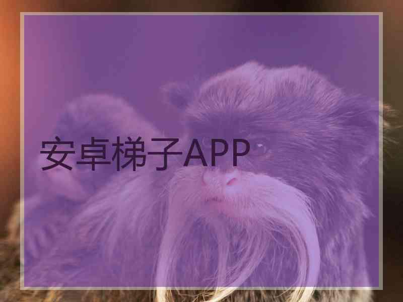 安卓梯子APP