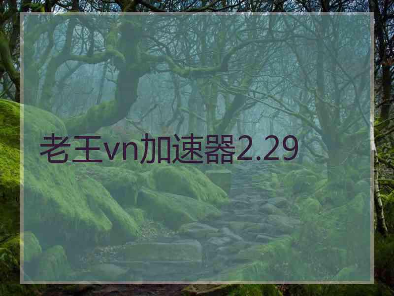 老王vn加速器2.29