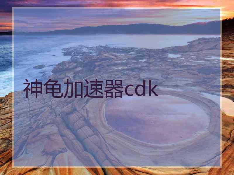 神龟加速器cdk