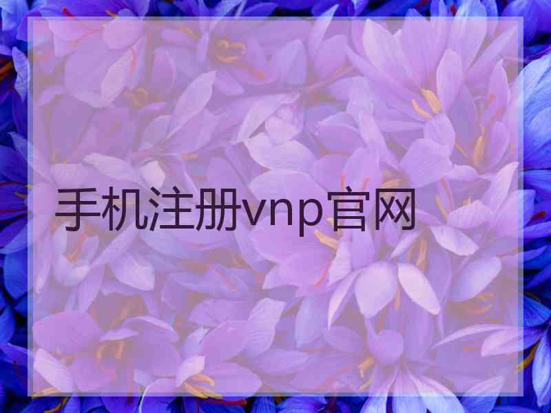 手机注册vnp官网