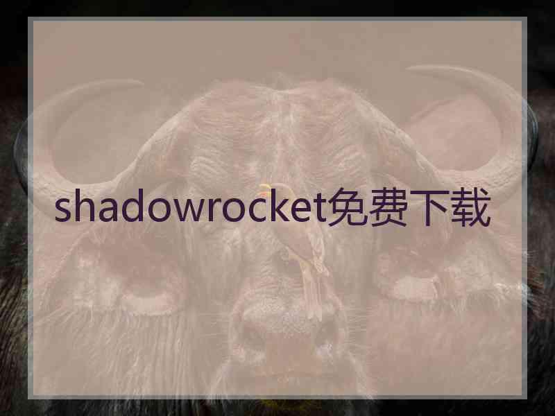 shadowrocket免费下载