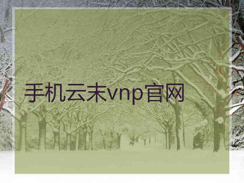 手机云末vnp官网