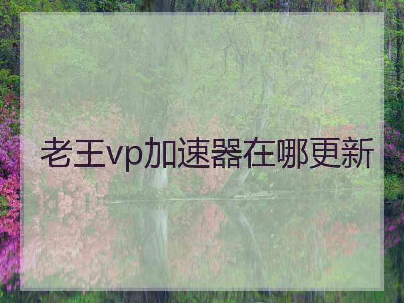 老王vp加速器在哪更新