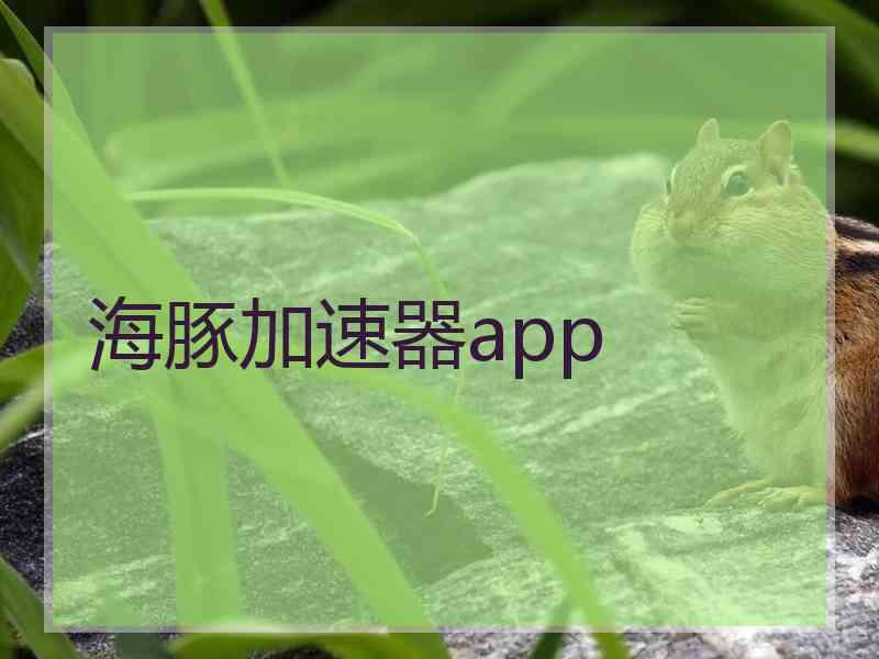 海豚加速器app