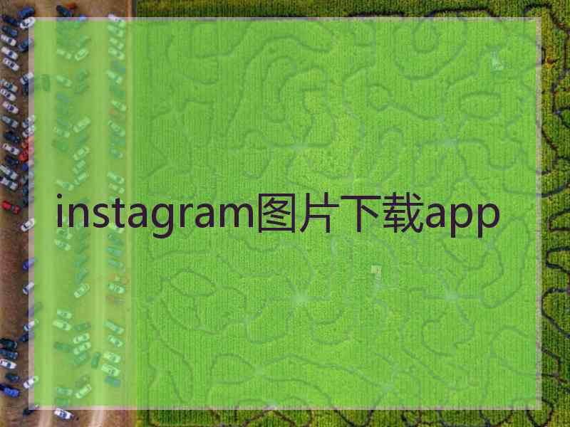 instagram图片下载app