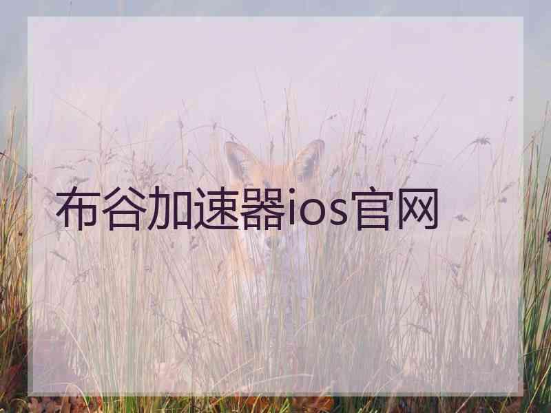 布谷加速器ios官网