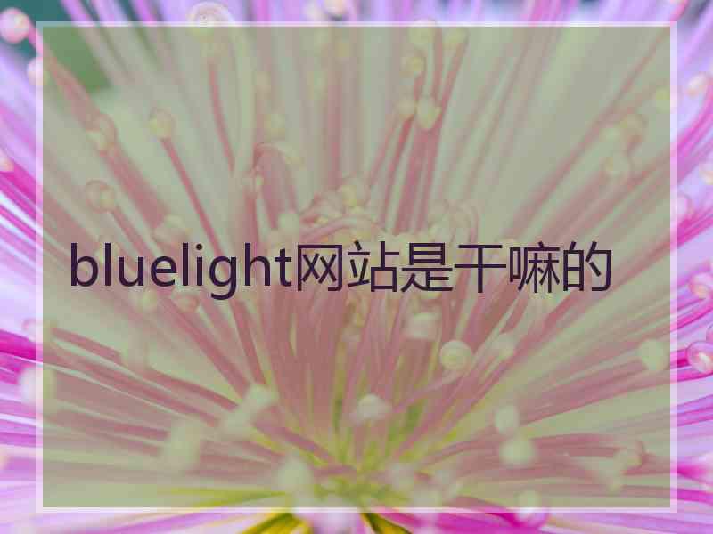 bluelight网站是干嘛的