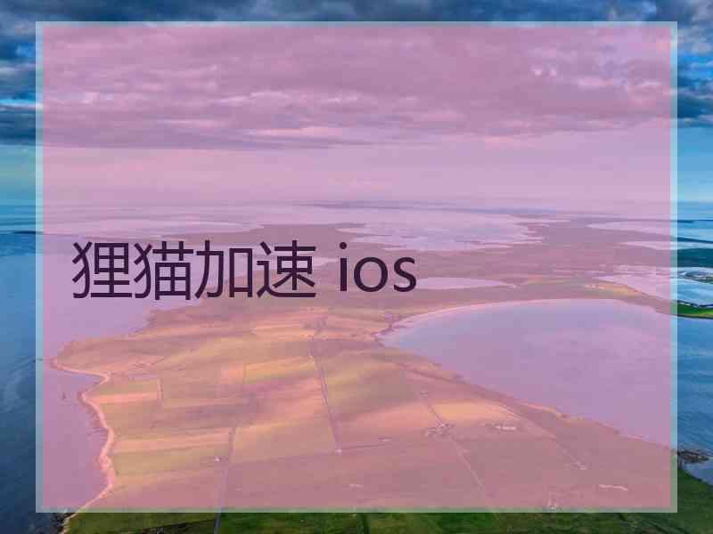 狸猫加速 ios