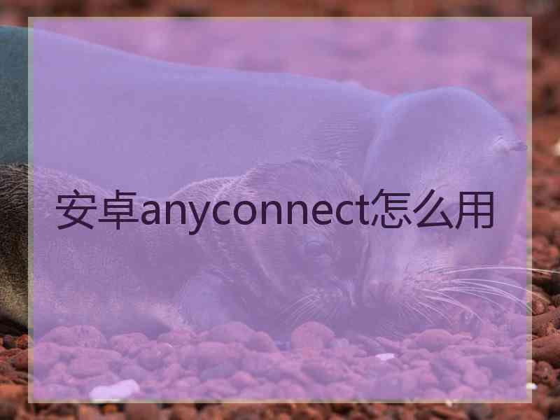 安卓anyconnect怎么用