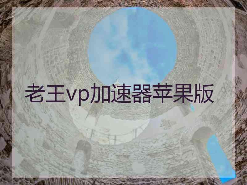 老王vp加速器苹果版