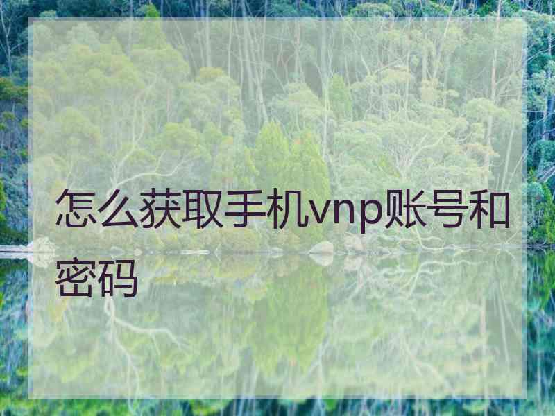 怎么获取手机vnp账号和密码