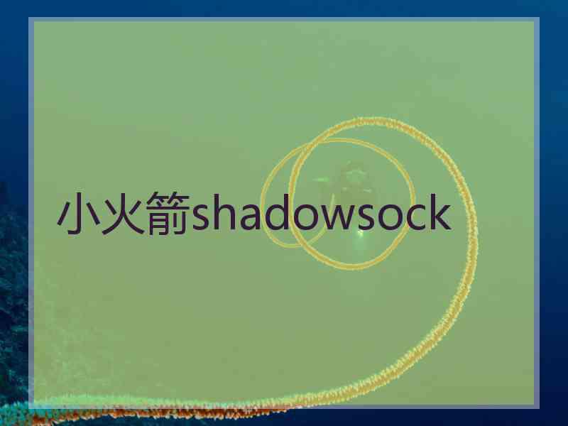 小火箭shadowsock