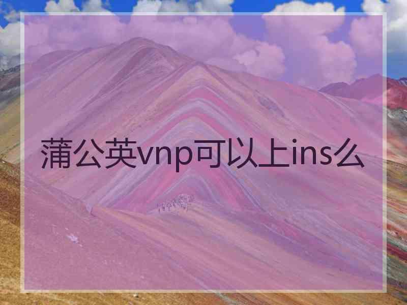 蒲公英vnp可以上ins么