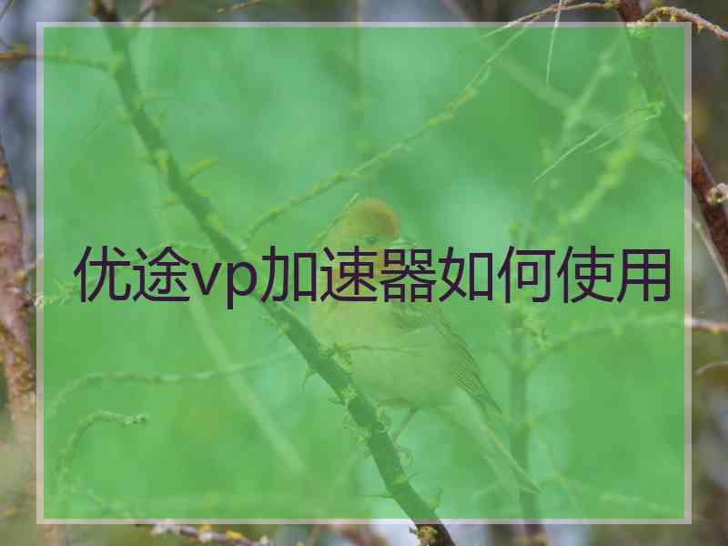 优途vp加速器如何使用