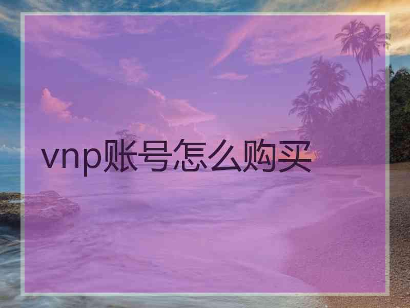 vnp账号怎么购买