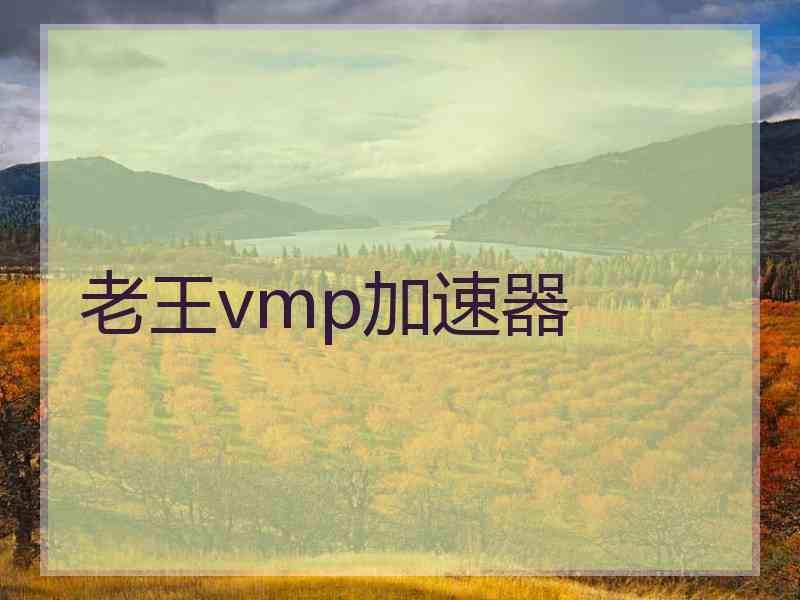 老王vmp加速器