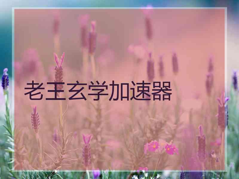 老王玄学加速器