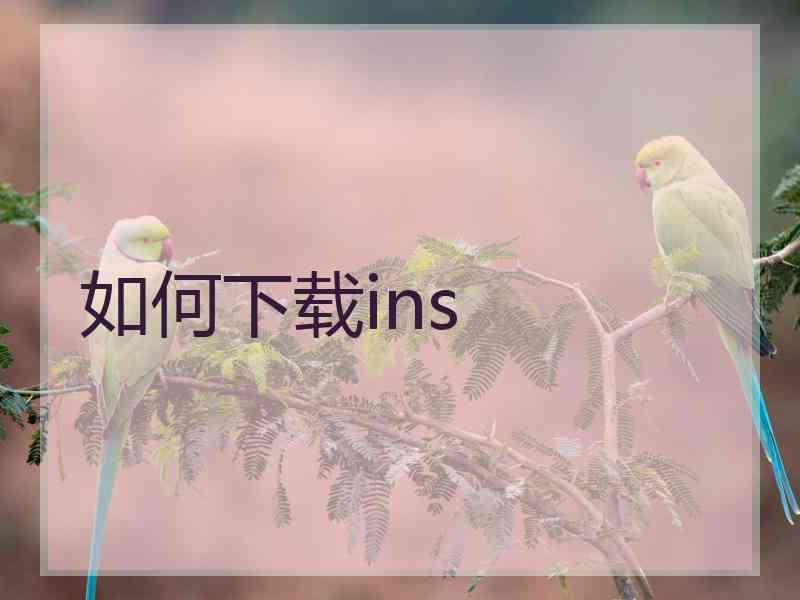 如何下载ins