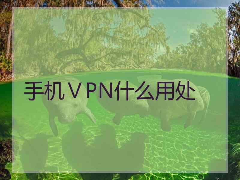 手机ⅤPN什么用处