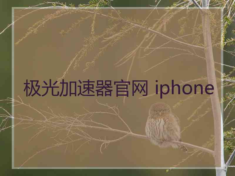 极光加速器官网 iphone