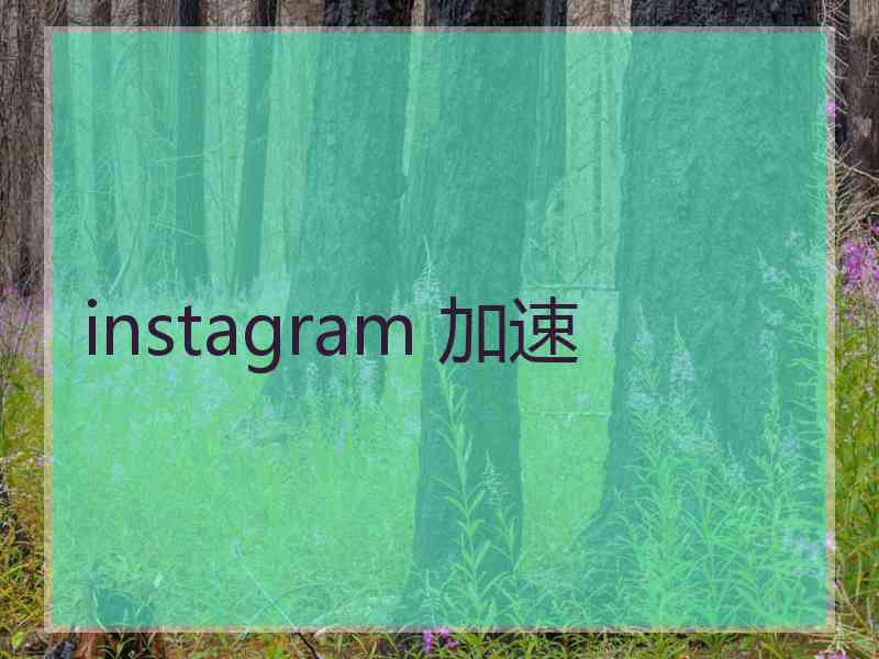 instagram 加速