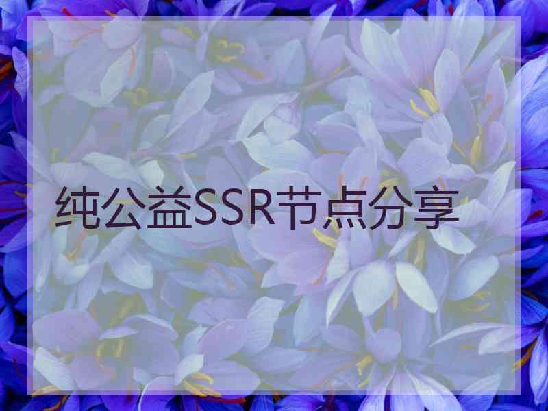 纯公益SSR节点分享