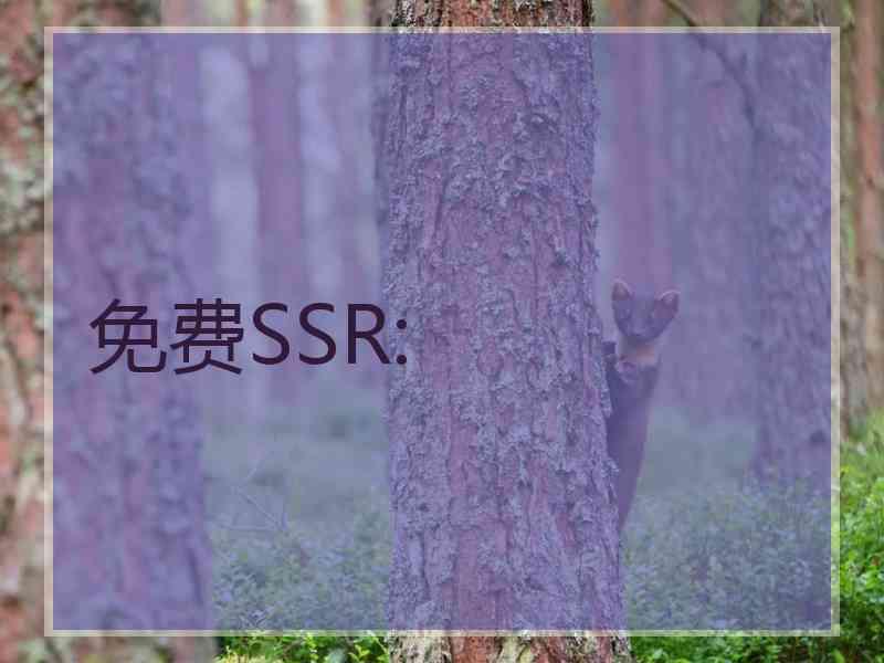 免费SSR: