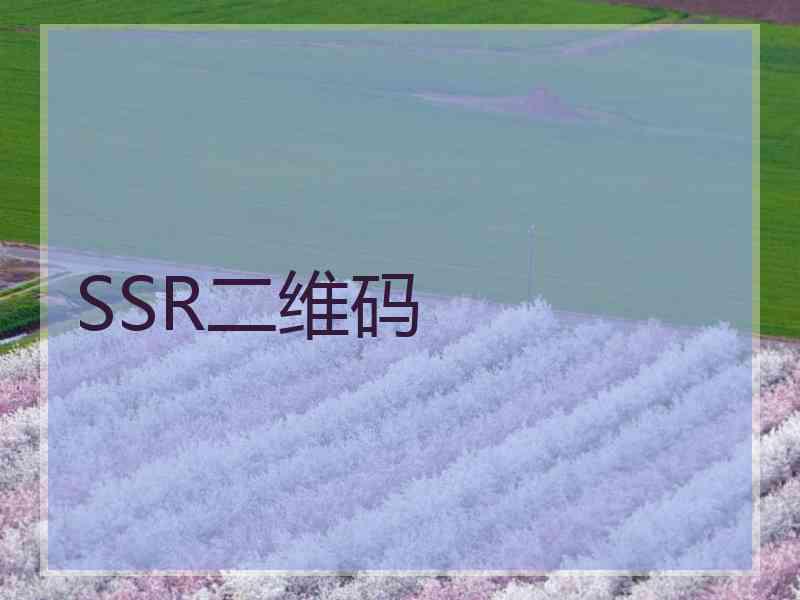 SSR二维码