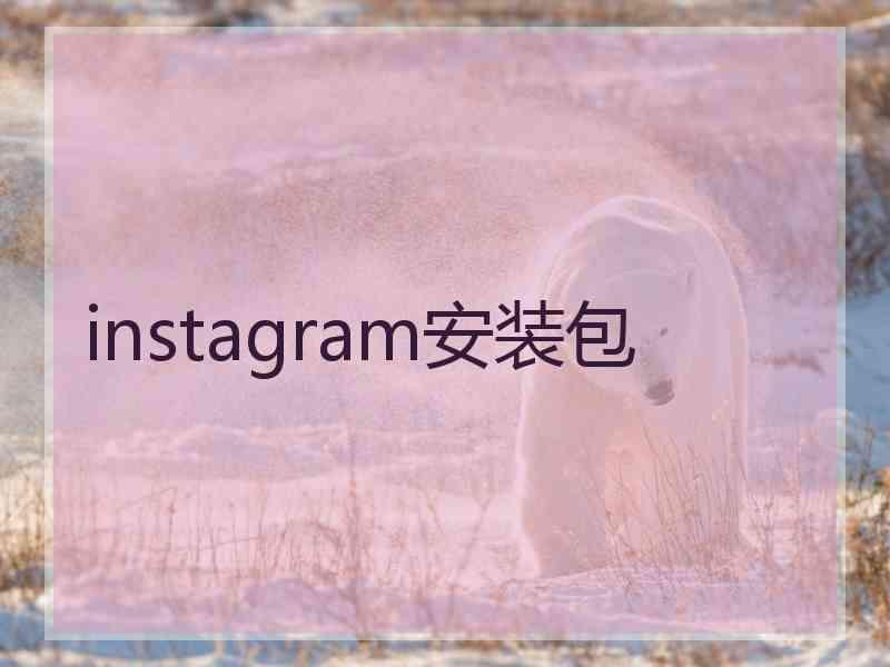 instagram安装包