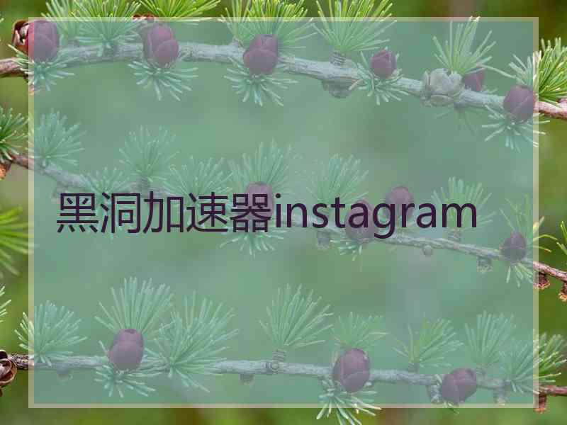 黑洞加速器instagram