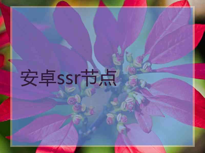 安卓ssr节点