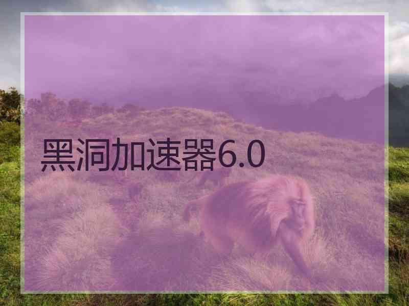 黑洞加速器6.0