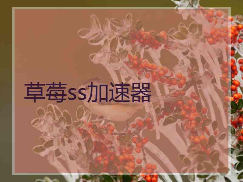 草莓ss加速器