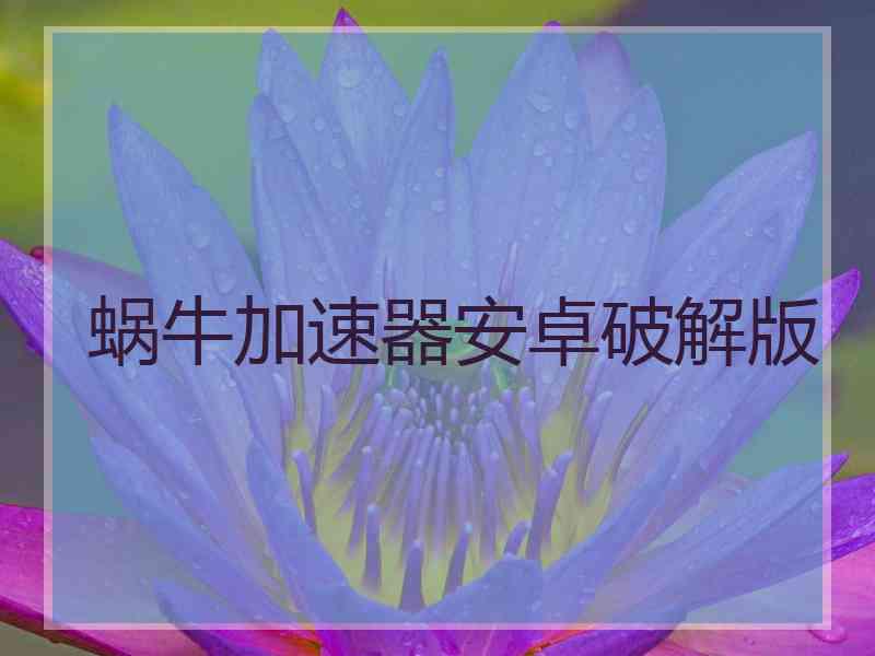 蜗牛加速器安卓破解版