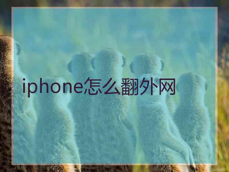 iphone怎么翻外网