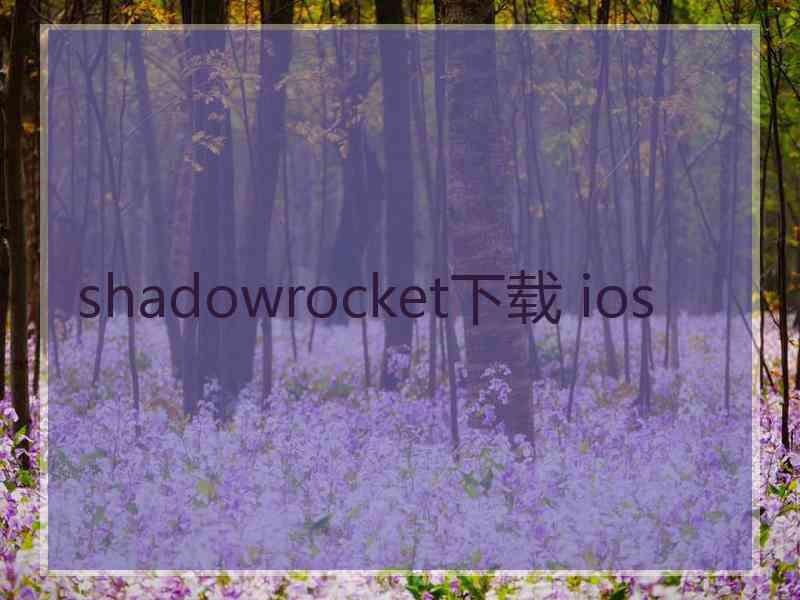 shadowrocket下载 ios