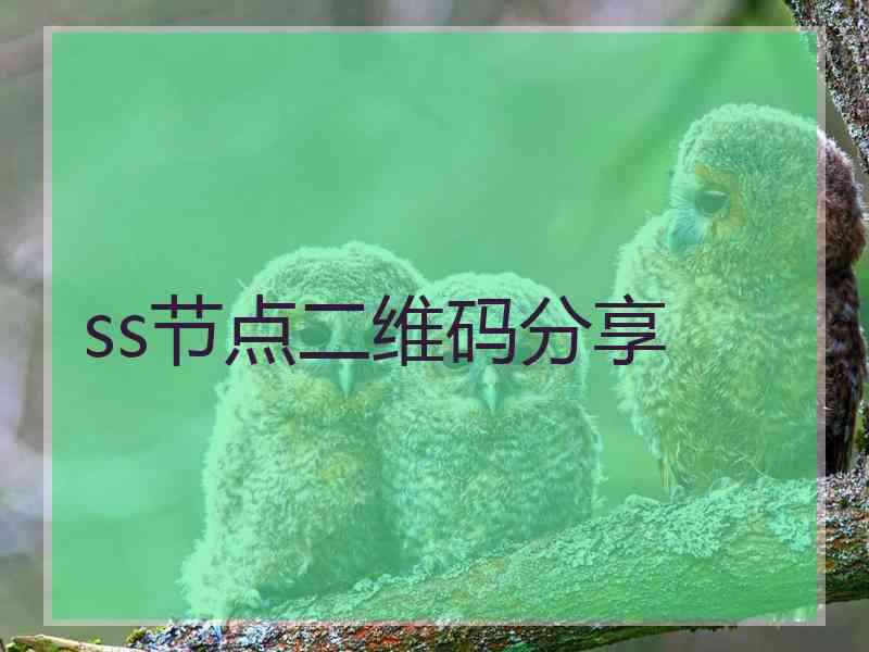 ss节点二维码分享