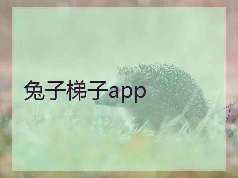 兔子梯子app