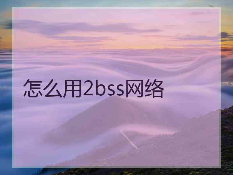 怎么用2bss网络