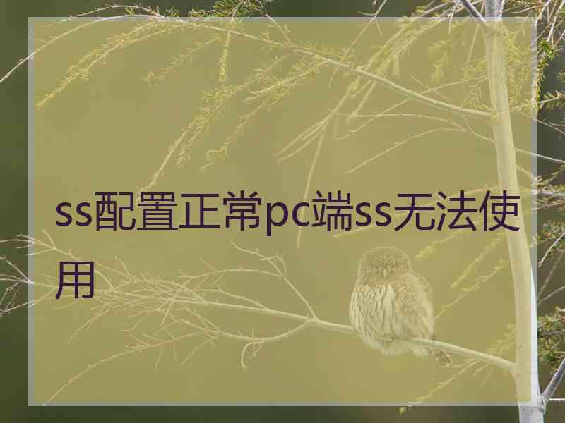 ss配置正常pc端ss无法使用