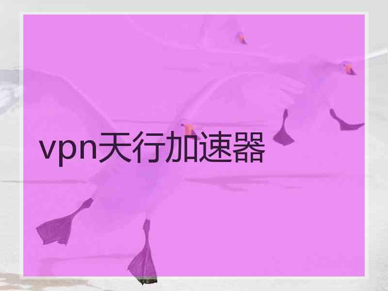 vpn天行加速器