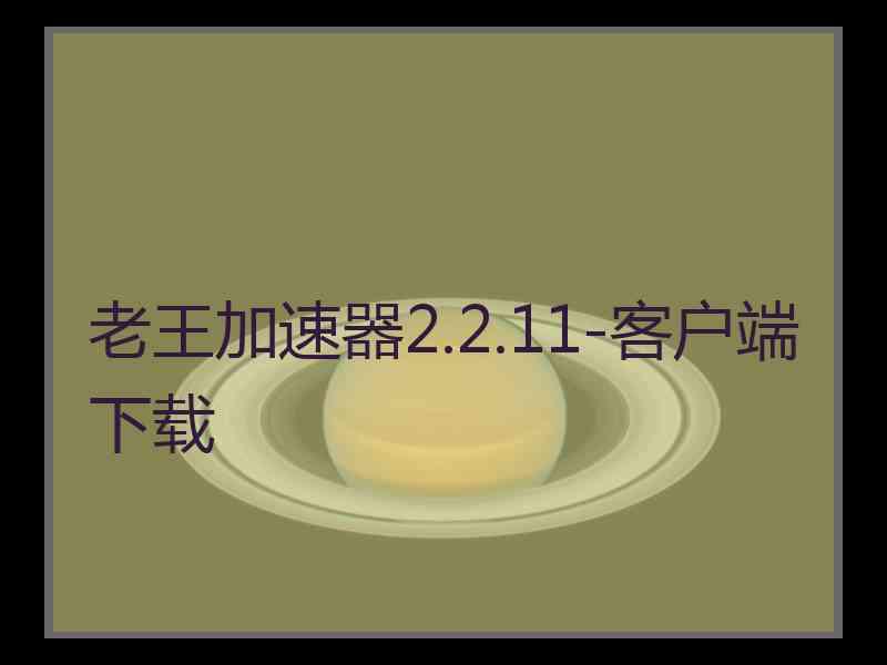 老王加速器2.2.11-客户端下载