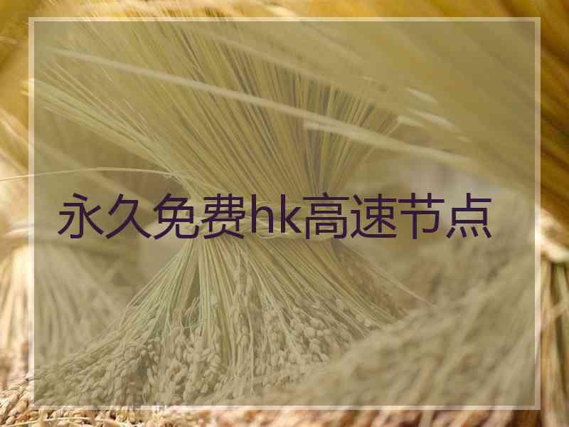 永久免费hk高速节点